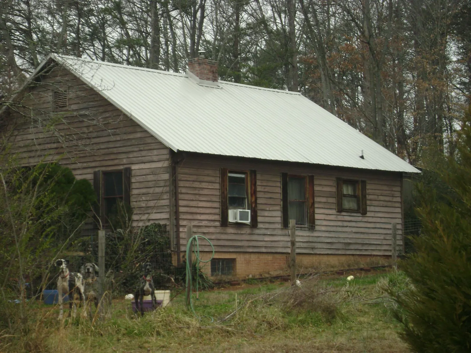 White metal roof on an old wood sided farmhouse, from a Metal Roof Installation job in Roy